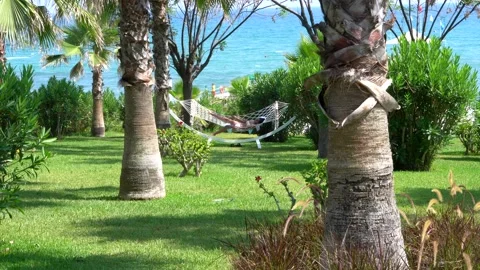 Girl in hammock Stock Footage 157448208