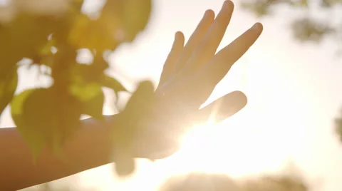 Girl hand in front of the sun in spring Stock Footage 63762064