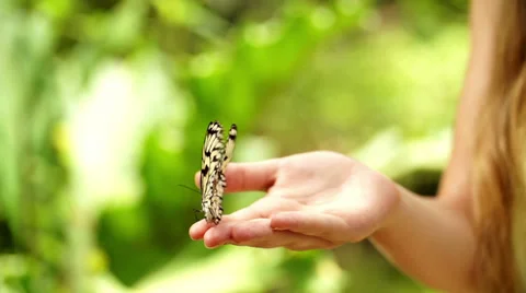 Girl has a butterfly in her hand Stock Footage