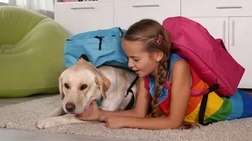 Girl having fun dressing her dog for school Stock Footage 86111131