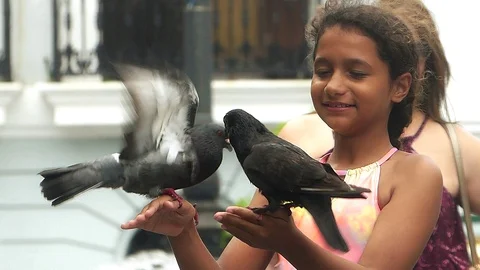 Girl Having Fun With Two Pigeons In Her Hands Stock Footage 129858950