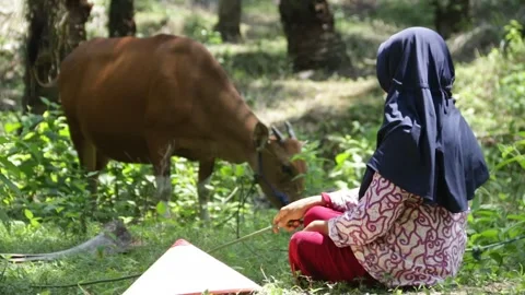 Girl herding cows Stock Footage 287307267