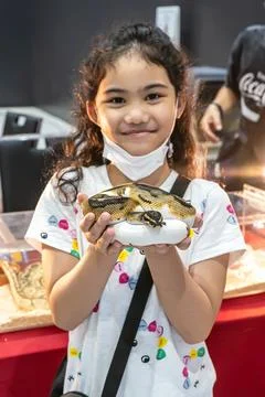 Girl holding a ball python Stock Photos