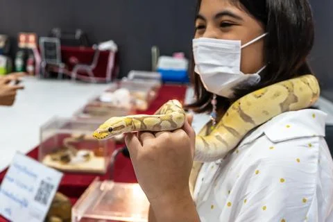 Girl holding a ball python Photos