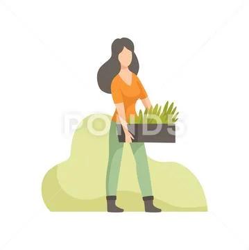 Girl holding box with seedlings, people working in the garden, worker growing Stock Illustration