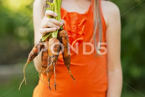 A Girl Holding Carrots