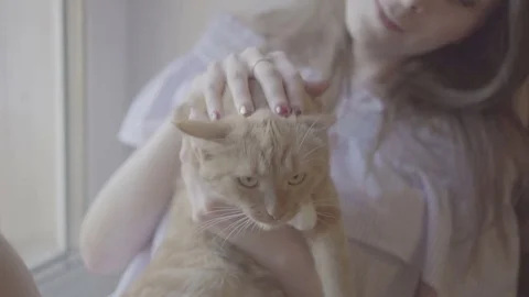 A girl is holding a cat Stock Footage
