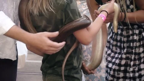 Girl holding a python snake on the street  스톡 동영상 73228638