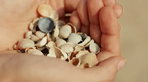 Girl holding a shell in her hands at the beach Stock Footage 21436714