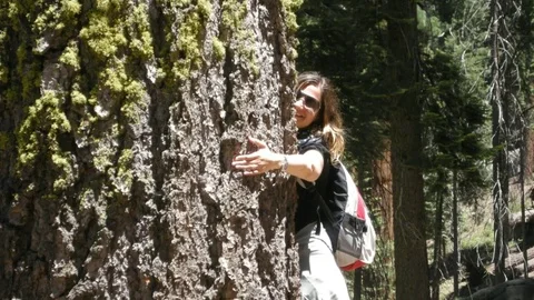 Girl hugging a Sequoia Stock Footage 77189056