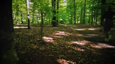 Girl jogging through a sunlit forest trail, surrounded by lush green trees .. Stock Footage 307828105