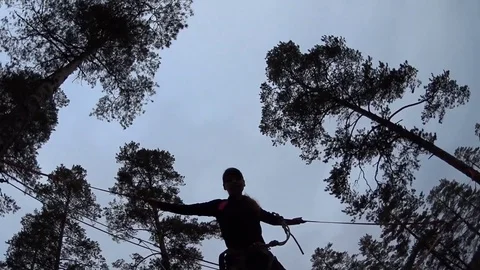 Girl jumping and swinging on slackline on high tree in forest.From down to up Stock Footage 70777553