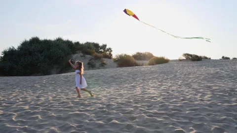 A girl with a kite Stock Footage 170295586