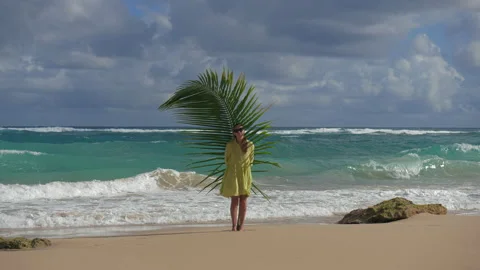 Girl with a large palm leaf on the background of the blue ocean. Stock Footage 154065698