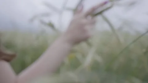 A girl leads her hand through the ears of wheat in summer in a dress Stock Footage 201243003