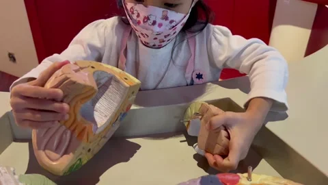 A girl learning from a human brain model Stock Footage 175682635