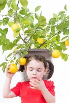 Girl with Lemon Tree Stock Photos