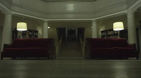 The Girl in The Library Stock Footage 61950540