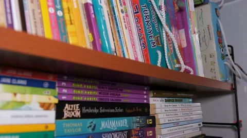 The Girl in The Library Stock-Footage 185492891