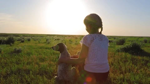 A girl looking at sunset with her dog Stock Footage