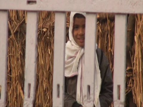 Girl looking through railing Stock Footage 72330747