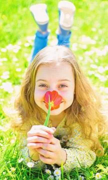 Girl lying on grass, grassplot on background. Child enjoy spring sunny day while Stock Photos