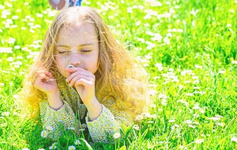 Girl lying on grass at grassplot, green background. Girl on dreamy face spend Stock Photos