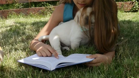 Girl lying on the grass trying to read and play with puppies Video stock 99768845