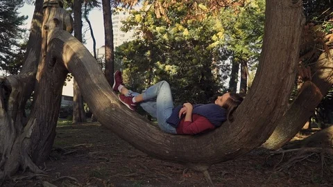 Girl is lying on a semicircular tree trunk like in a hammock 스톡 동영상 113939591