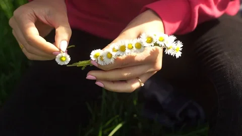 Girl making chamomile chaplet Stock Footage 88734041