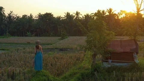 Girl model in the middle of rice fields. Stock Footage 113784573