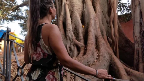 Girl observing a centuries-old tree in Sanremo Stock Footage 253348433