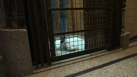 Girl in the old vintage elevator lowering and arriving at the floor of a Stock Footage 160099271