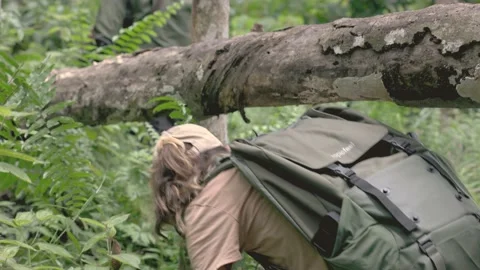 Girl passing under a tree in the rain forest in Gunung Leuser National Park Stock Footage 220354851