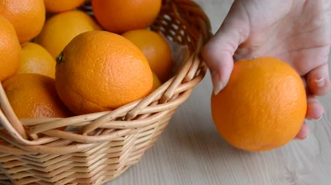 Girl picking an orange Stock Footage 48138505