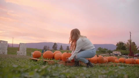 Girl picking up pumpkin from pumpkin patch 库存影片 219405403