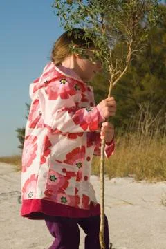 Girl picking up tree sapling by trunk Stock Photos