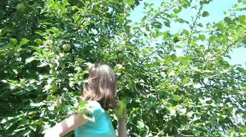Girl Picks Apple &amp; Eats Stock Footage 12583199