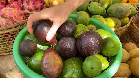 Girl picks ripe avocado Stock Footage