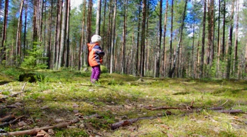 Girl  on pine forest Stock Footage 23359541