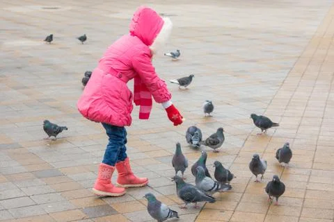 Girl in a pink jacket is feeding bread to the pigeons Square Stock Photos