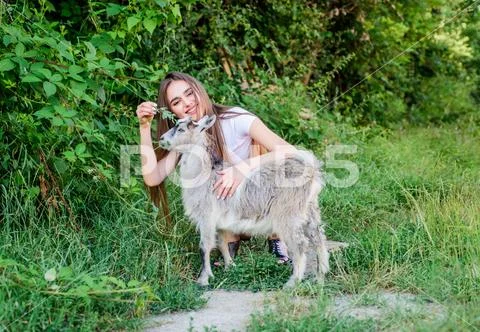 Girl play cute goat. Feeding animal. Animals law. Woman and small goat green Stock Photos