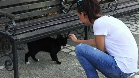 Girl playing with a cat Stock Footage 42016617