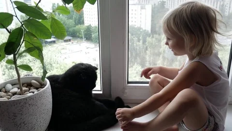 The girl is playing with her cat sitting on the windowsill. A black cat and a li Stock Footage