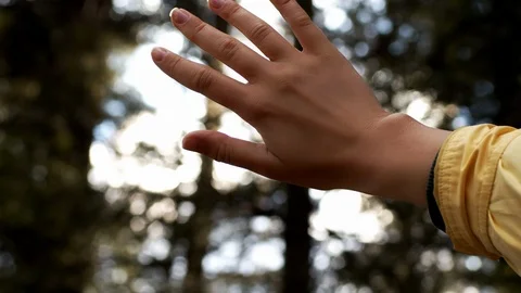 Girl playing with rays shining through female fingers outdoor forest background  Stock Footage 107560466
