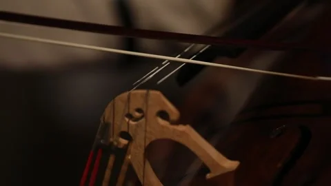 The girl is playing violoncelle 3 Video stock 333591028