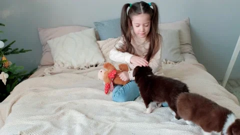 A girl plays with two puppies while sitting on the bed Stock Footage 231259264