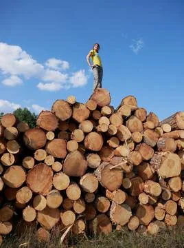 A girl poses on top of a stack of logs 스톡 사진