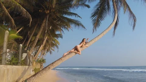 Girl posing on palm Vídeo Stock 108634057