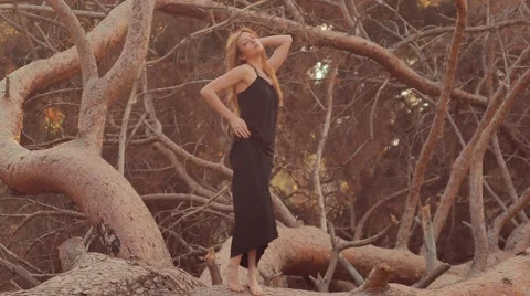 Girl posing at sunset standing on pine trunk Video stock 63929442